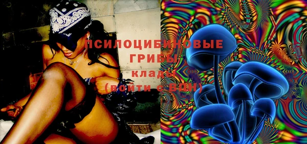 дживик Белоозёрский