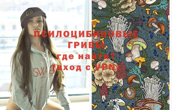эйфоретик Беломорск
